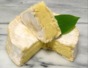 Camembert