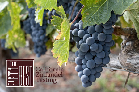 The Fifty Best California Zinfandel Tasting