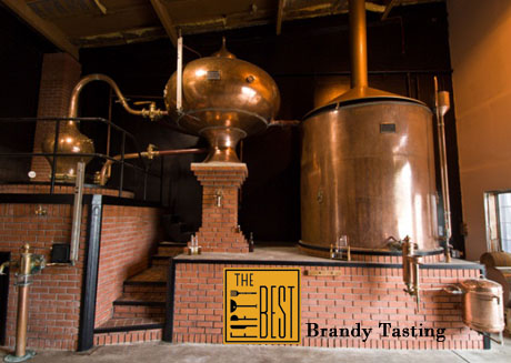 The Fifty Best Brandy Tasting