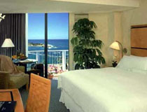 Caribe Hilton suite