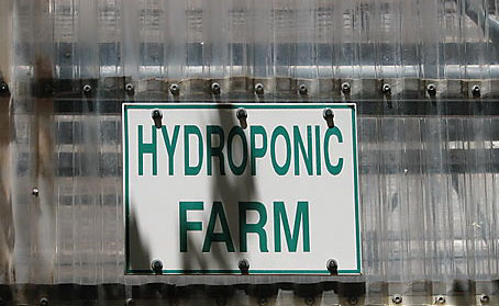 CuisinArt's Hydroponic Farm