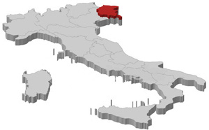 Map of Italy with Friuli Venezia Giulia