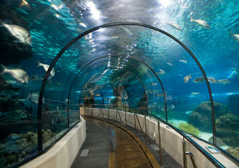 Barcelona Aquarium