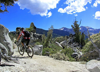 Biking Lake Tahoe