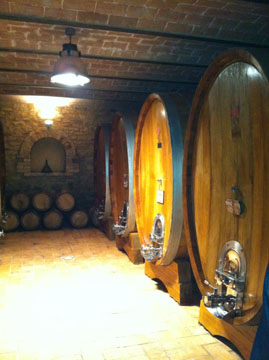 Casali di Bibbiano Wine Cellar