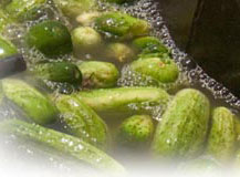 Freestone Pickle Company Kosher Dill Pickles