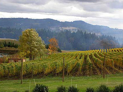 Willamette Valley