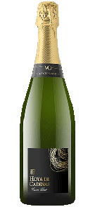 Vicente Gandia Hoya de Cadenas Cava Brut